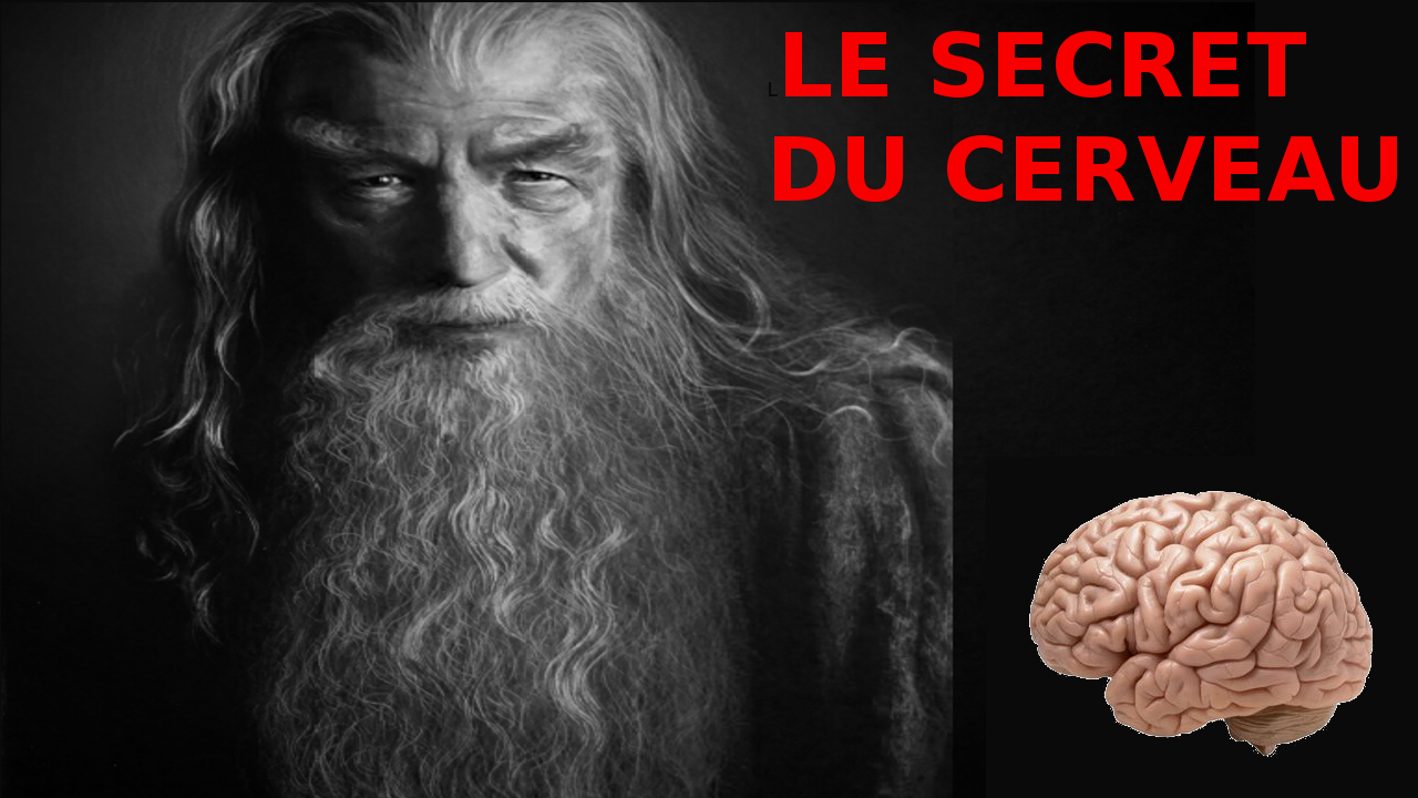 Secret cerveau